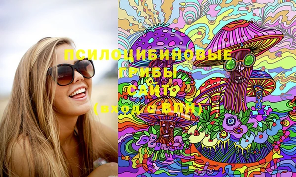 гидра Вязники