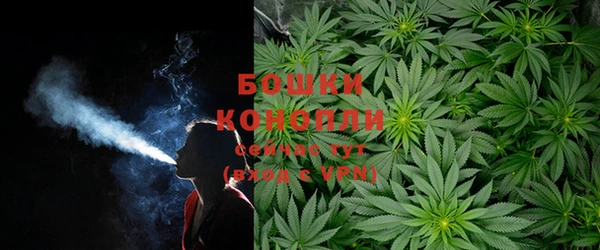 гидра Вязники