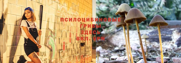 гидра Вязники